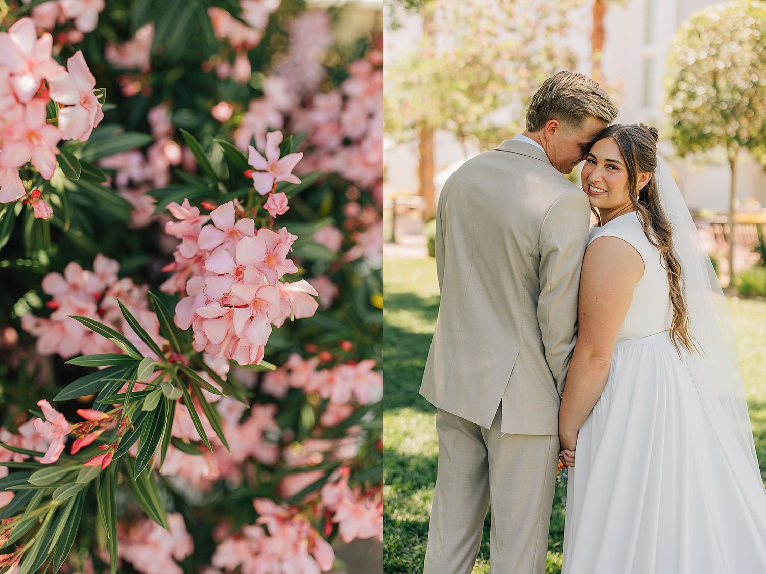 Pink oleander blossoms beside a couple in wedding attire, groom in tan suit kissing bride in white gown outdoors.