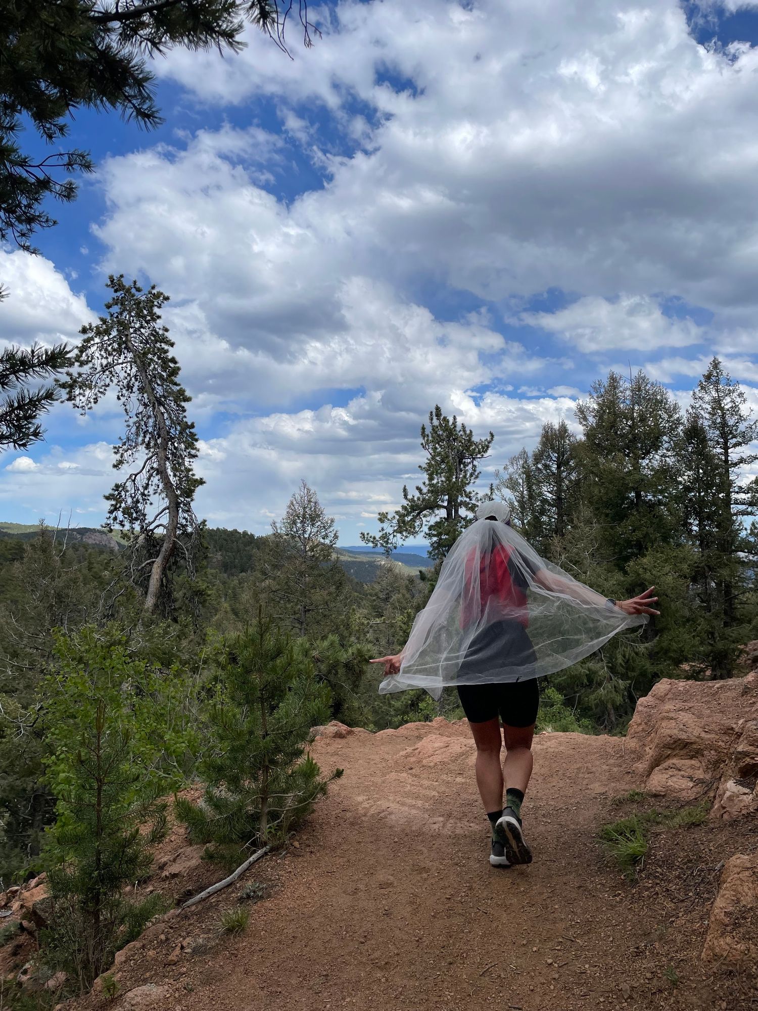 Hiker with clear rain poncho walking on a mountain trail surrounded by pine trees under a cloudy blue sky.