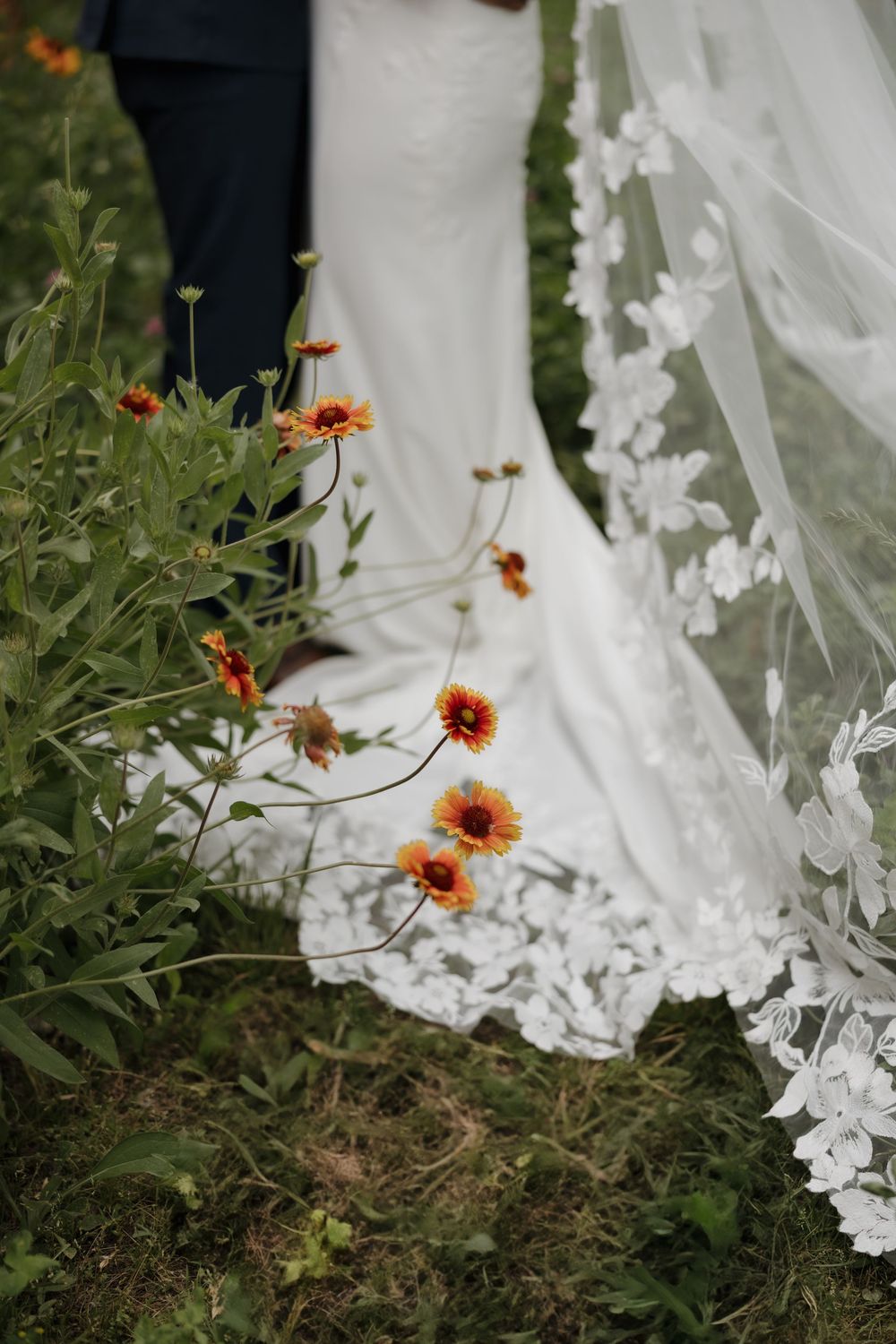 Bride in lace wedding gown and veil standing near vibrant orange wildflowers in a garden.