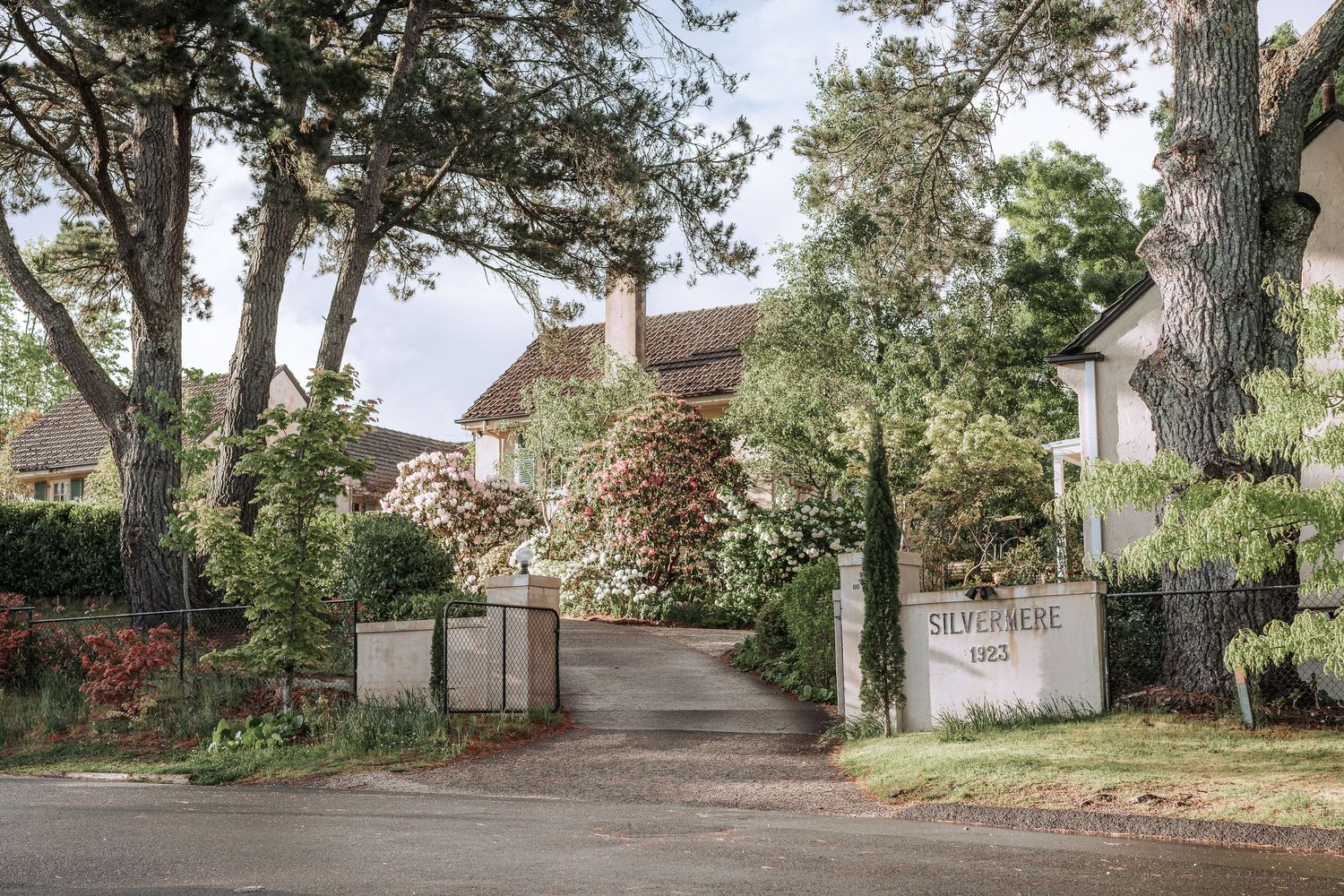 A tree-lined residential street with charming houses and landscaped gardens on a sunny day.