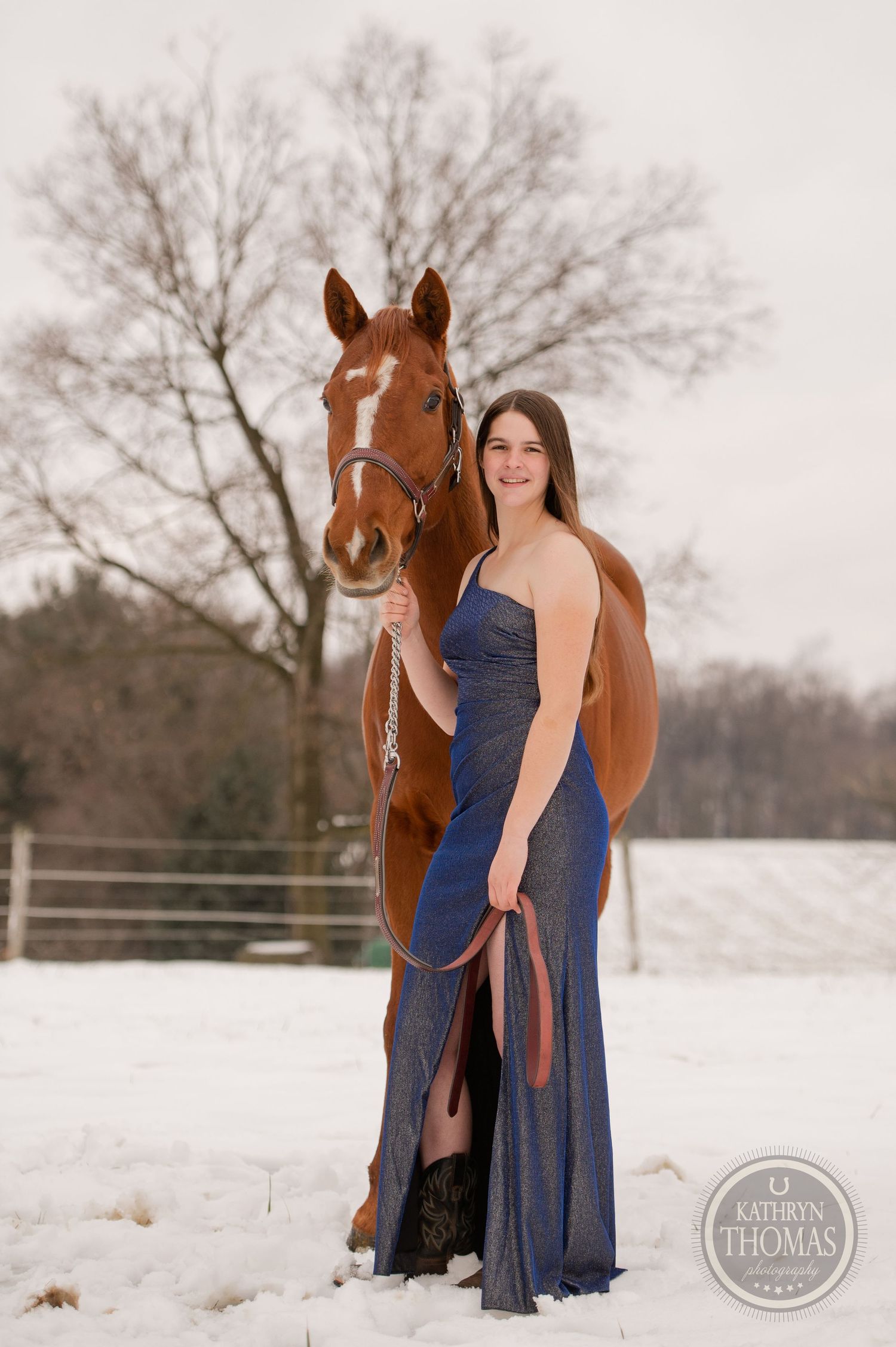 Elegant winter portrait with a chestnut horse and formal blue dress against a snowy landscape.