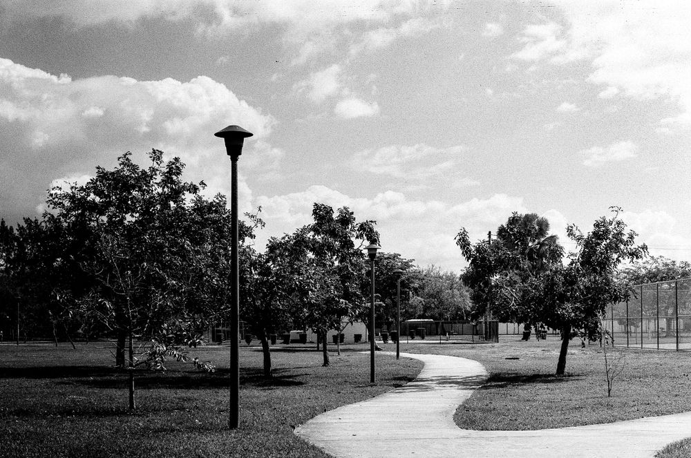 A winding walkway through a park with lamp posts and trees creating a serene black and white landscape.