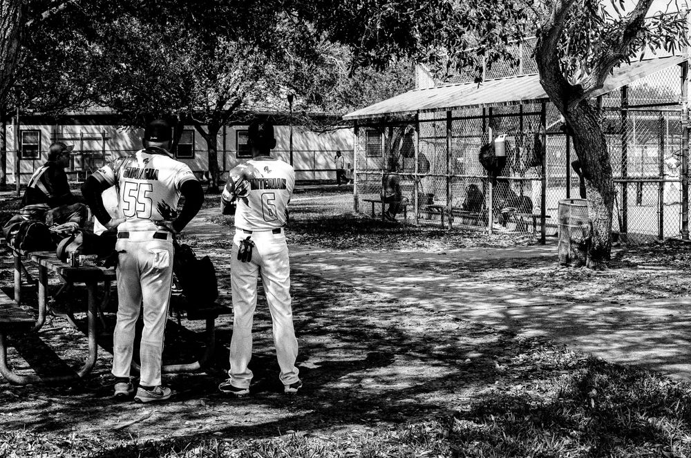 Black and white photo showing people looking at a dog kennel or animal shelter facility under shady trees.