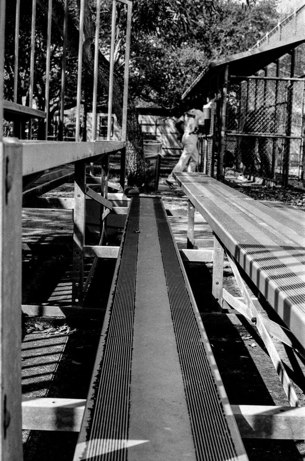 Black and white photograph of empty wooden bleacher seating with metal railings casting dramatic shadows.