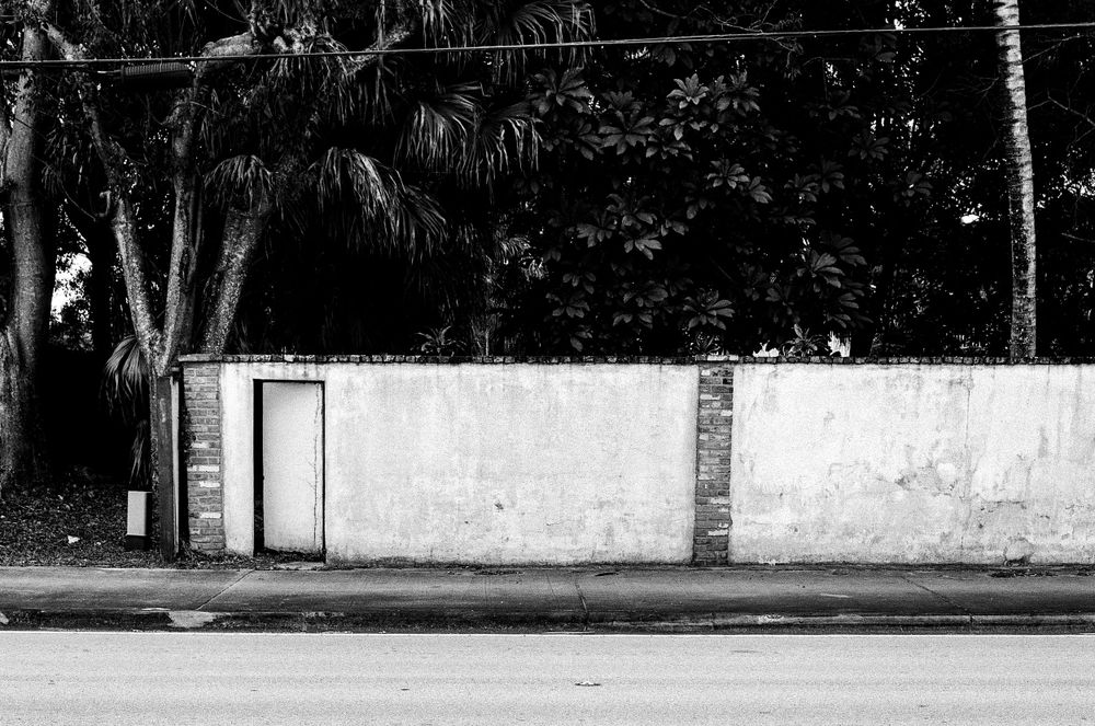 A minimalist black and white photograph shows a lone white door in a long concrete wall with palm trees visible above.