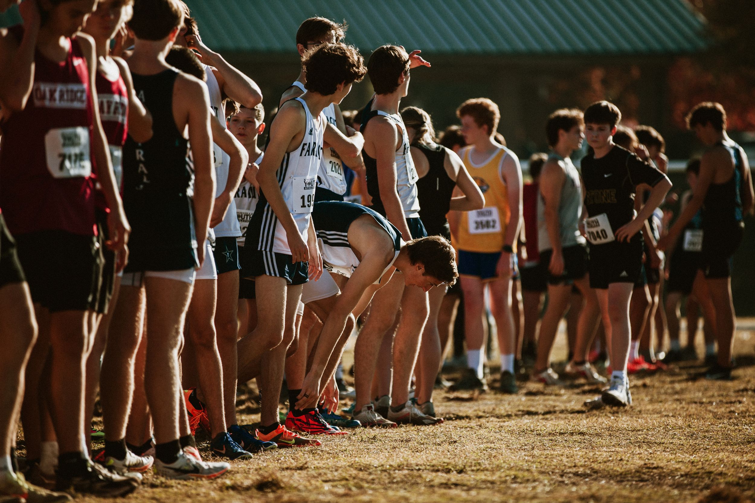 Athletes line up at the starting area of a cross country running competition in warm sunlight.