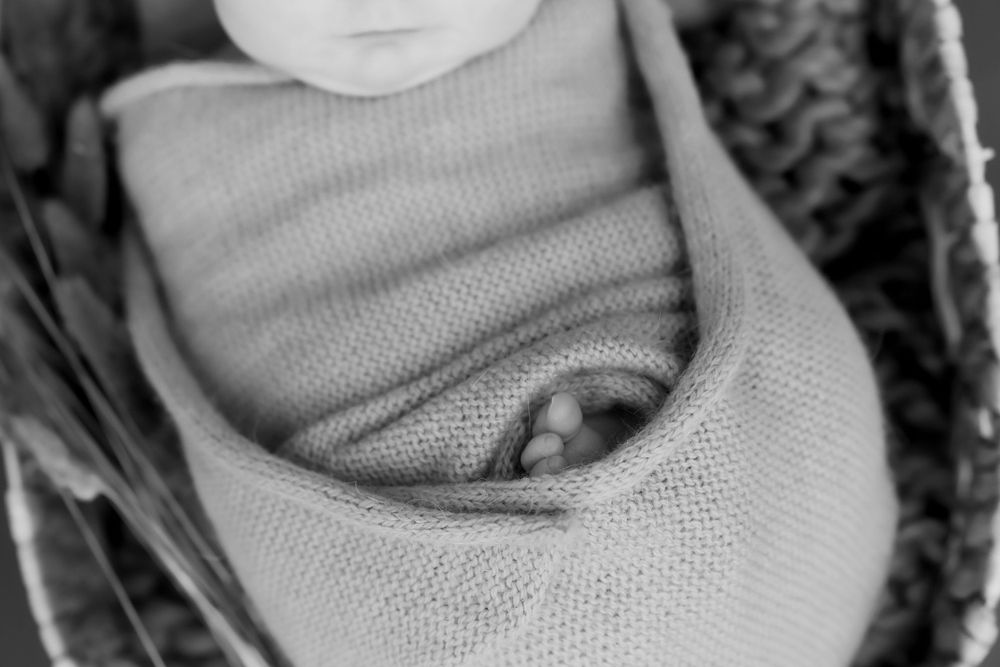 A black and white macro close-up of details in a plush knit fabric revealing its woven texture.