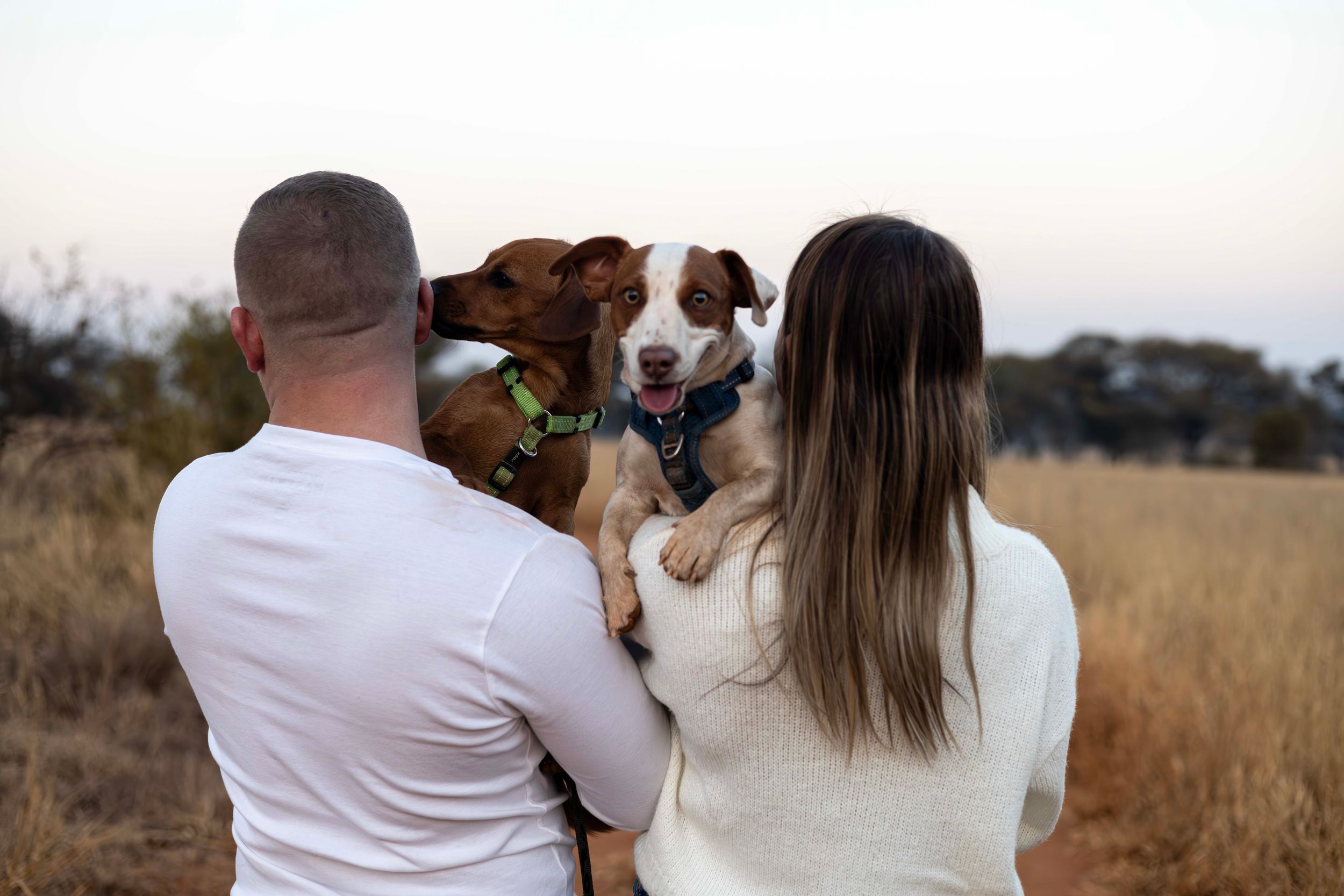 Engagement, Sunset