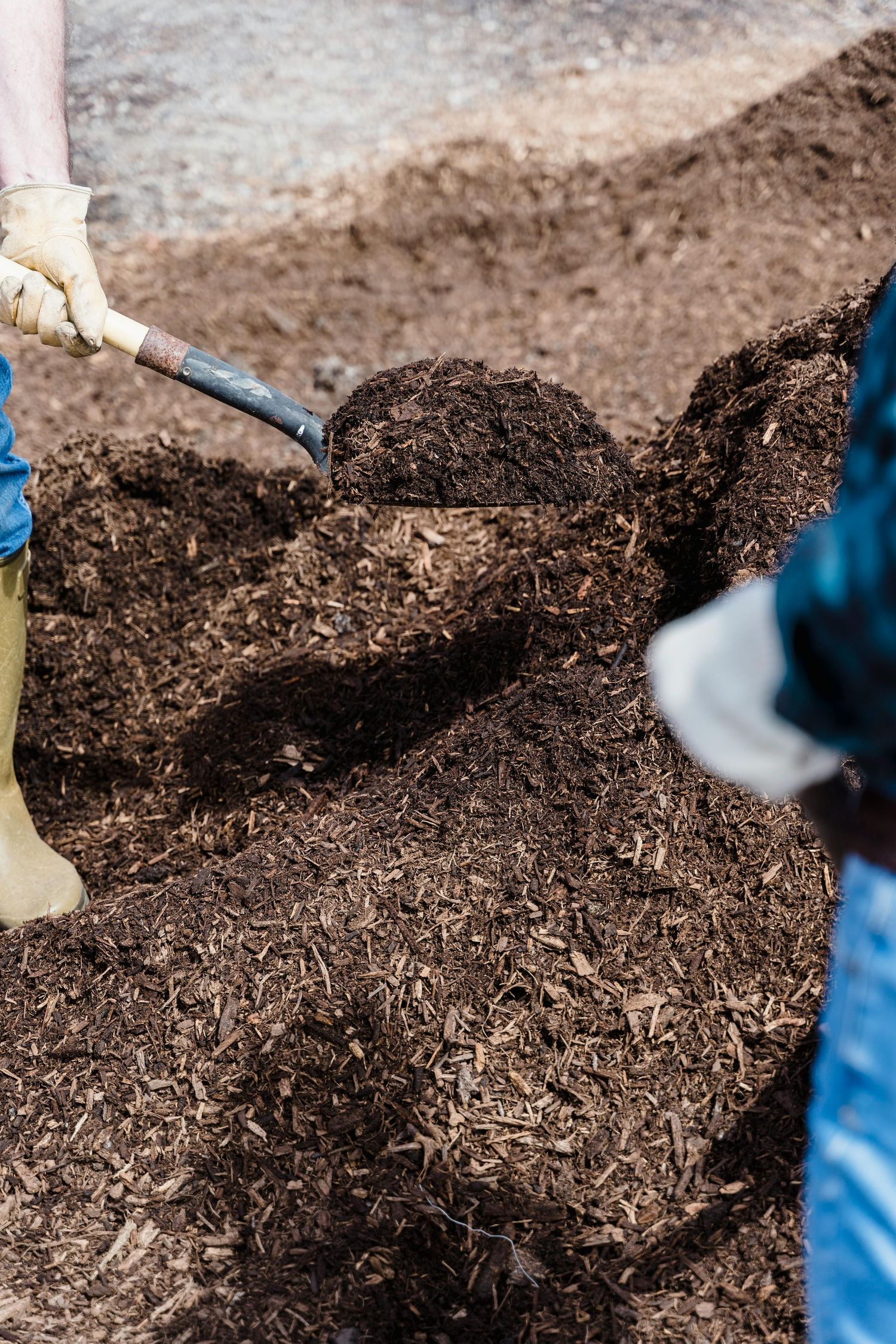 Gloved hands shoveling dark rich mulch or compost material.
