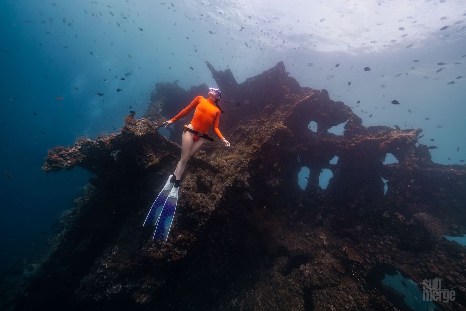 A scuba diver explores a coral reef surrounded by schools of small fish in clear blue tropical waters.