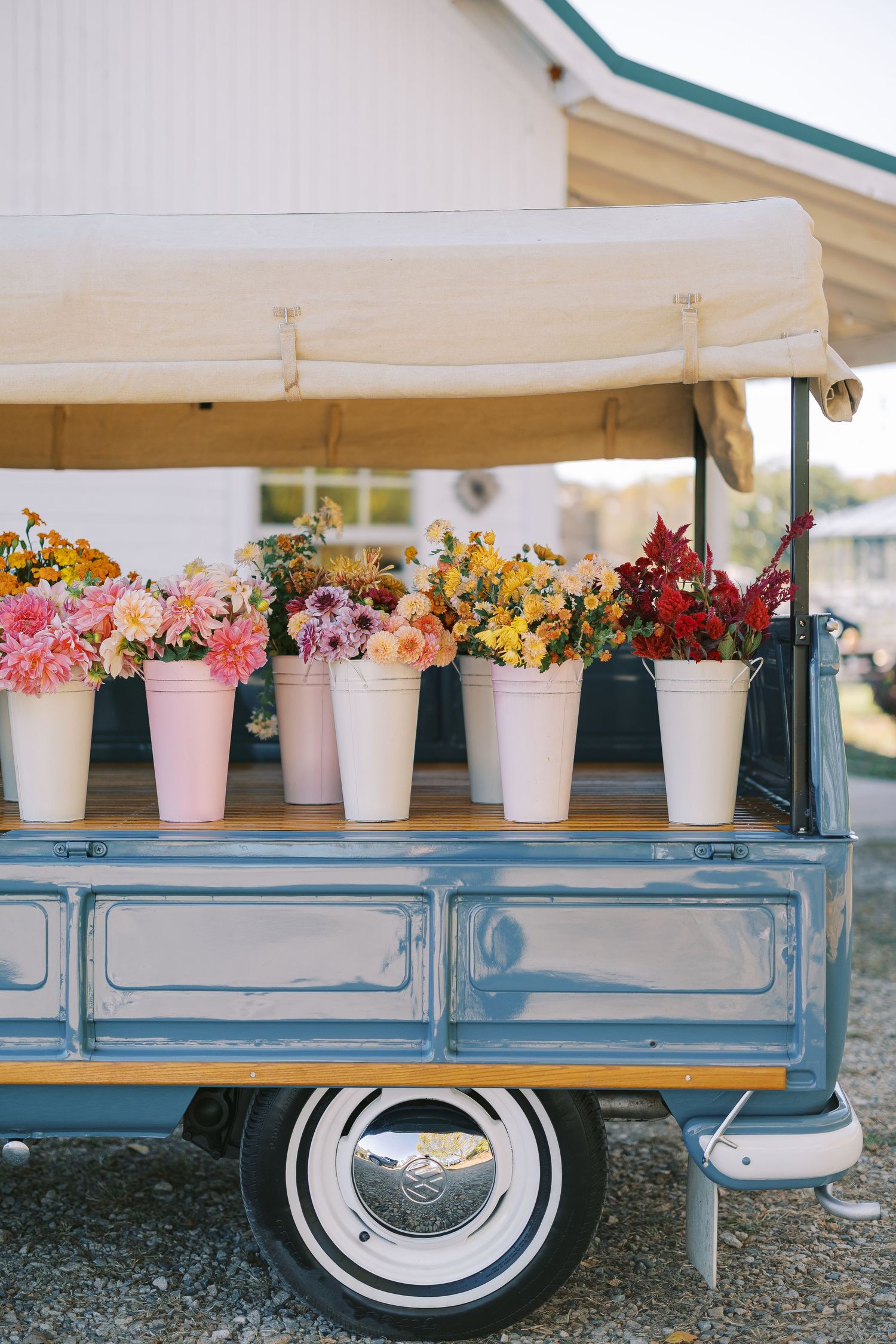 Colorful flower arrangements in white buckets displayed on a vintage blue car's running board.