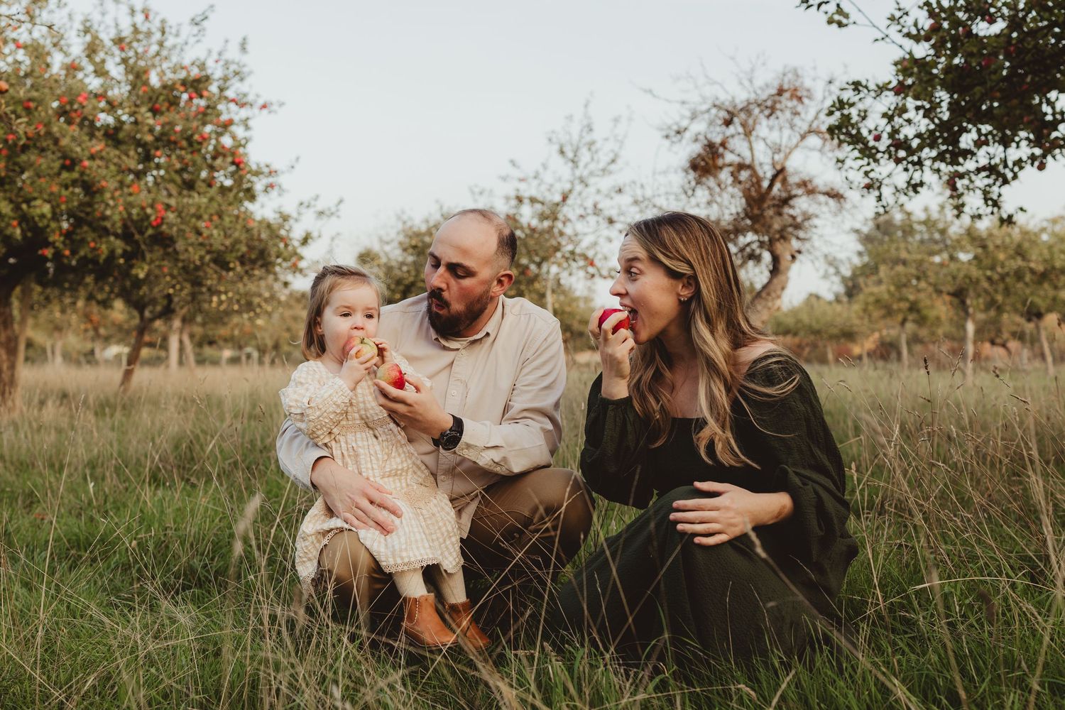 A series of candid outdoor family moments captured in a golden field during sunset.