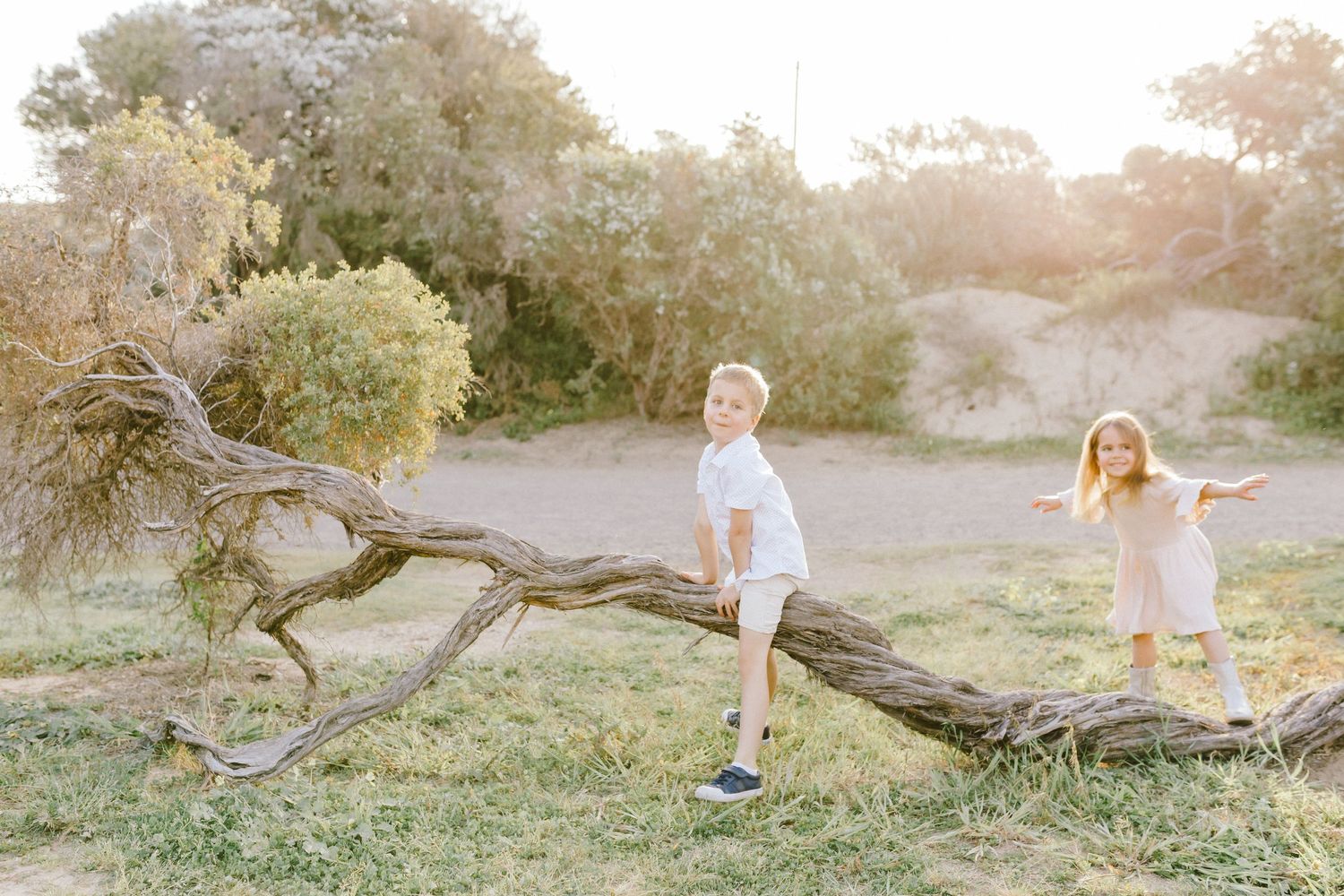 A sequence of romantic outdoor engagement photos taken in golden sunlight with a couple walking through nature.