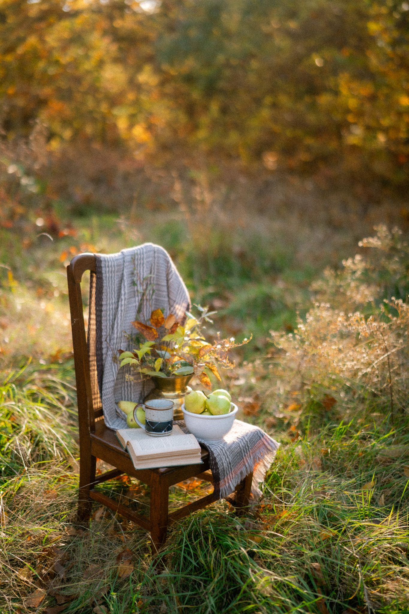 Rustic outdoor scene with wooden chair, blanket, and autumn decorations in golden light.