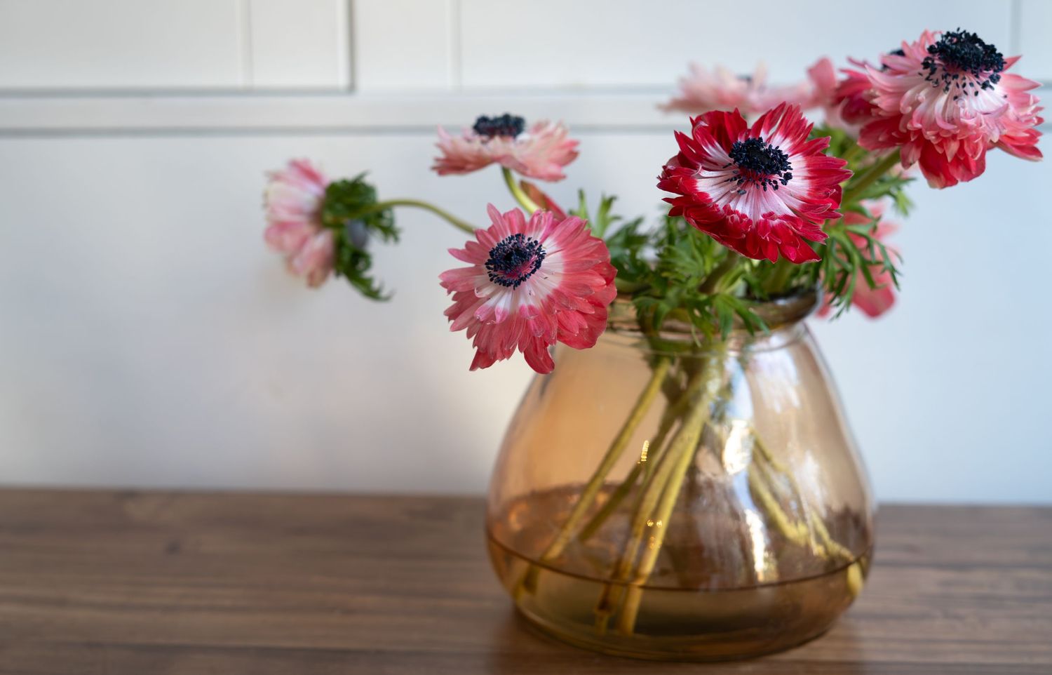 Small business content creator photographing brand imagery for a growing business in Kent
