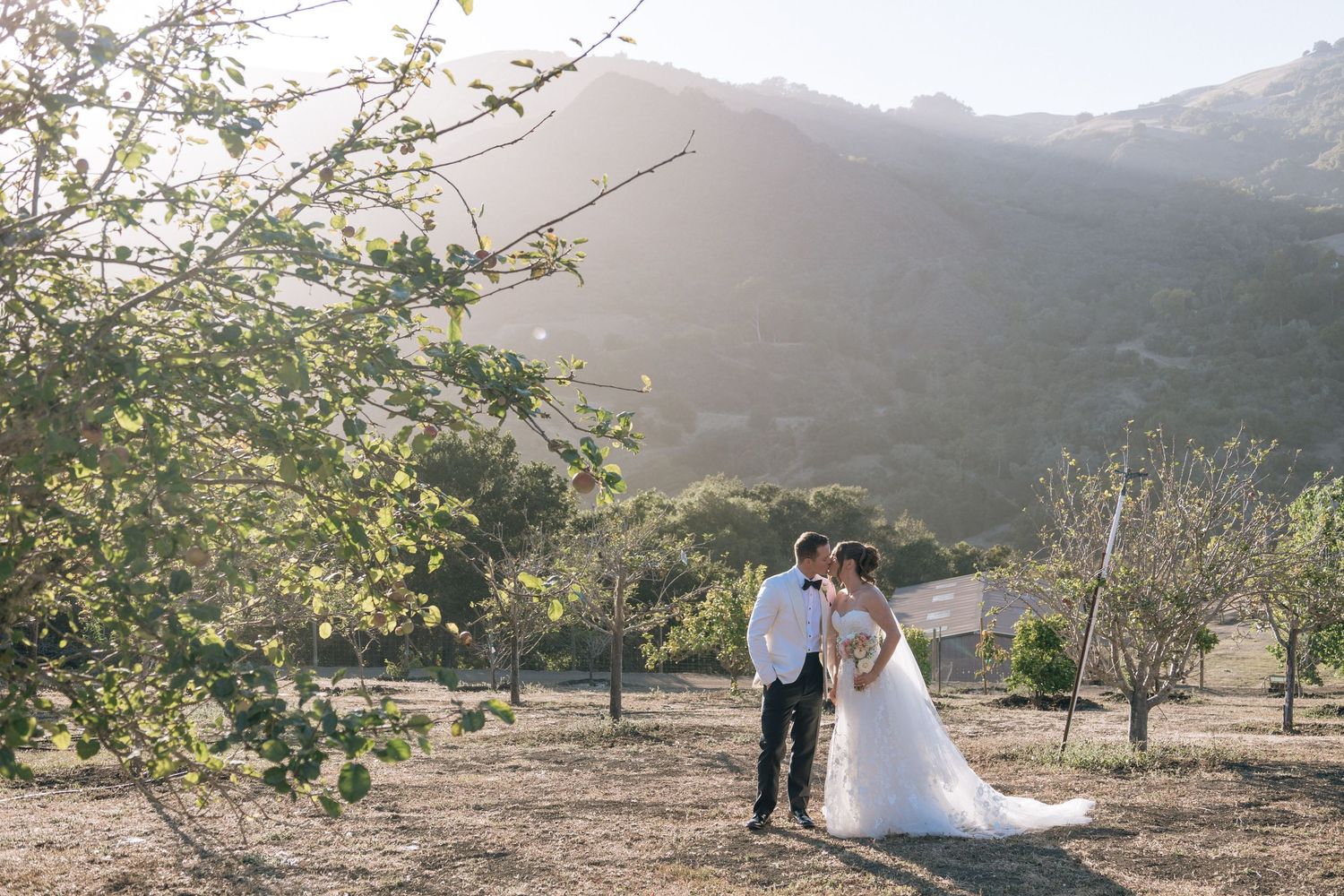 Film wedding photography in Cambria California. A couple kisses under sunny hills in California.