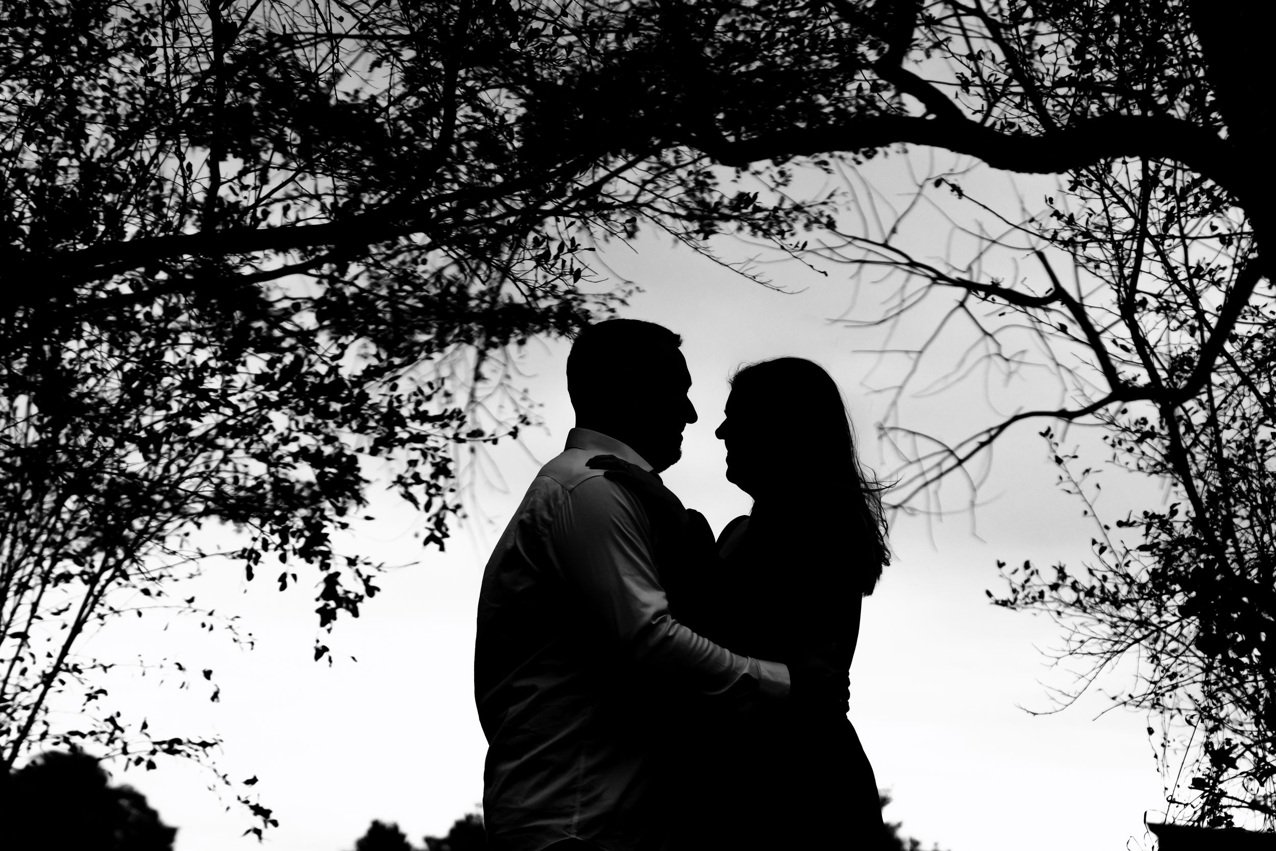 Silhouetted couple sharing an intimate moment under tree branches at dusk.
