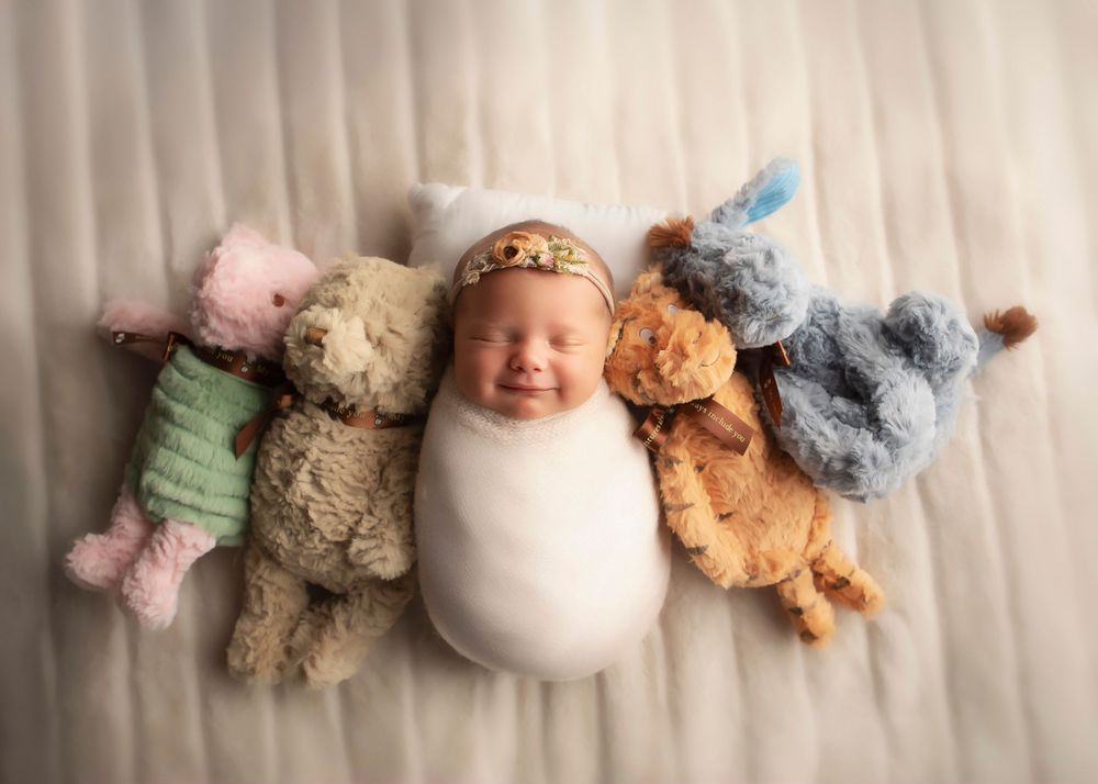 Collection of plush animals arranged neatly on textured cream surface.
