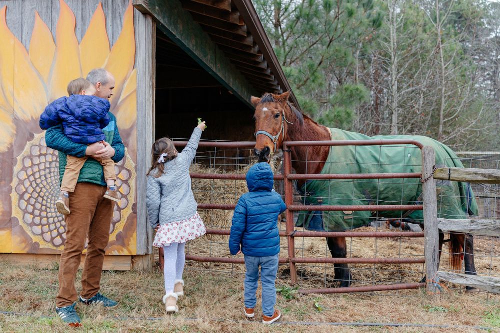 Family with children visits a chestnut horse at a rustic barn decorated with colorful painted mural.