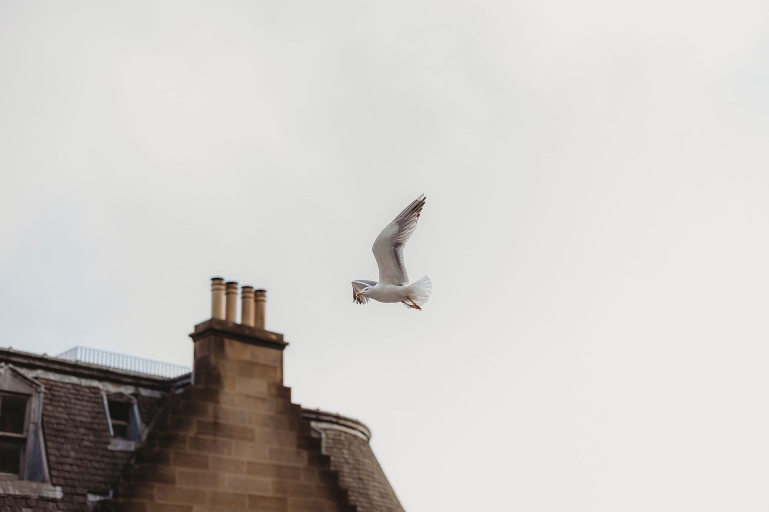 A row of brick chimneys with white smoke rising against a cloudy sky.
