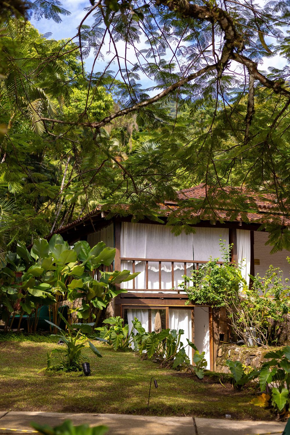 White tropical bungalow nestled among lush green trees and foliage at a resort property.