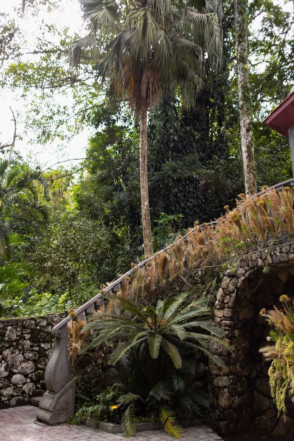 A stone wall walkway surrounded by lush tropical plants and palm trees in a garden setting creates a peaceful atmosphere.