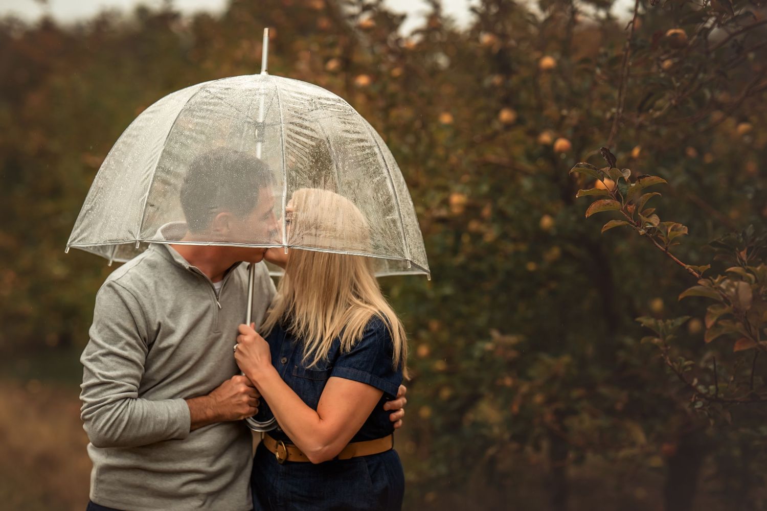 A couple shares an intimate moment under a clear umbrella on a misty autumn day.