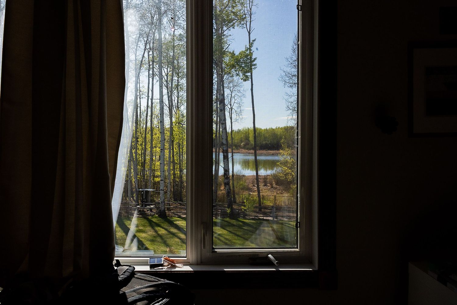Scenic lake view through window with tall birch trees and autumn foliage on sunny day.