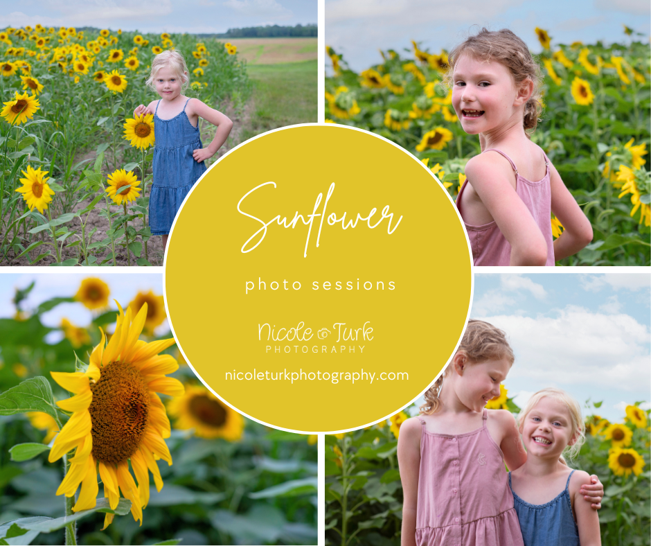 2 young girls pose naturally in beautiful sunflower field