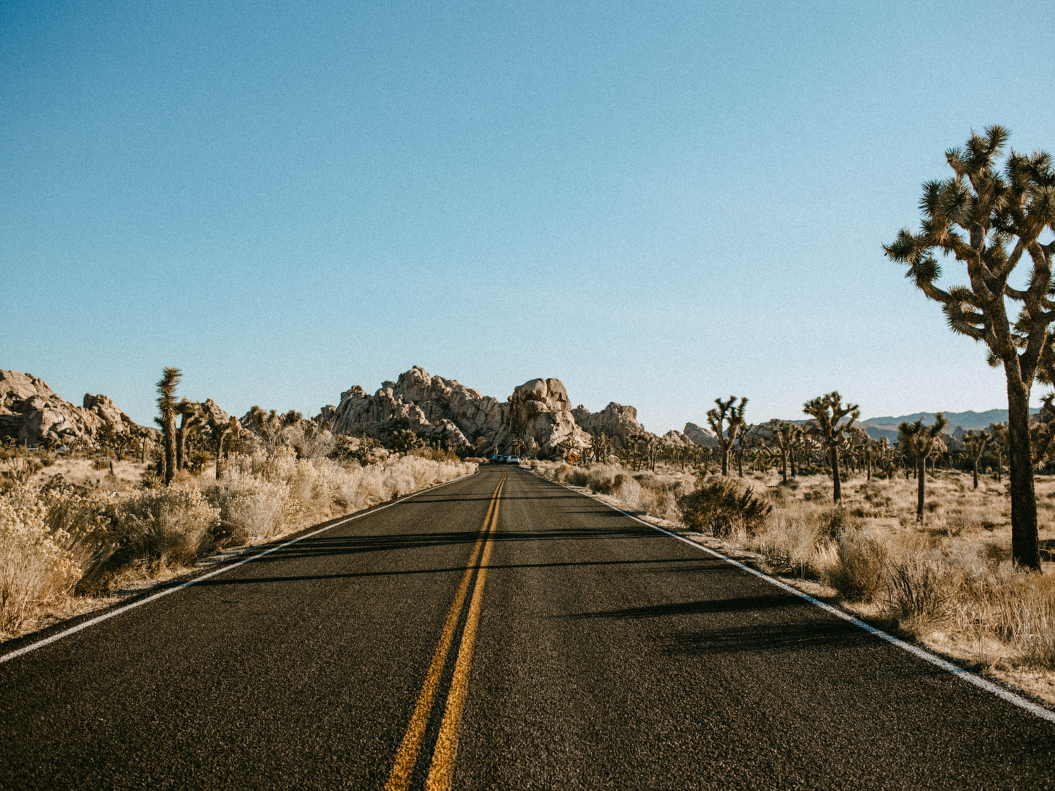 California Elopement Photography Giveaway