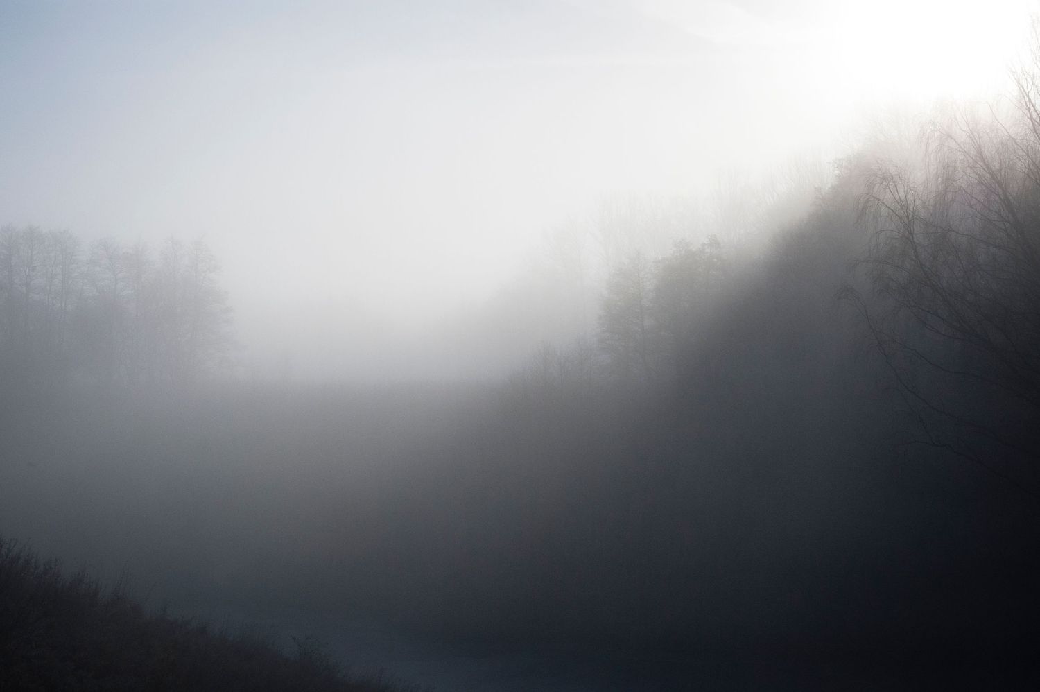 morgondimma över sjö och skog