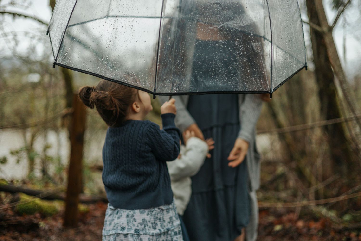 Clear umbrella being held up in rainy forest setting.