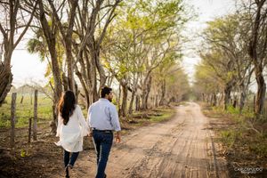 A couple walks hand in hand down a tree-lined dirt road during golden hour.