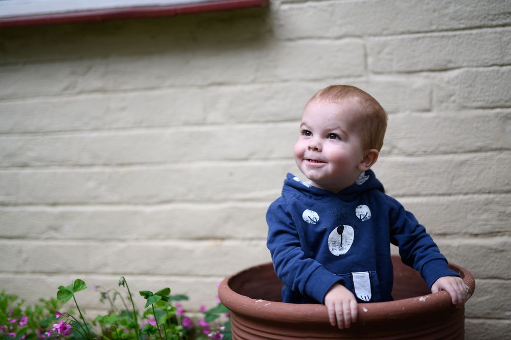Small child at a family photo shoot