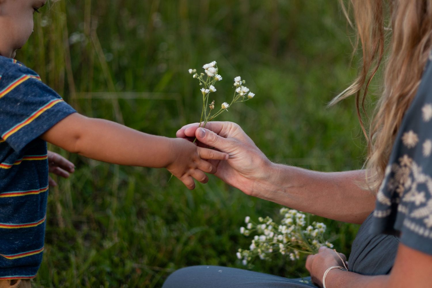 springfield missouri maternity photographer