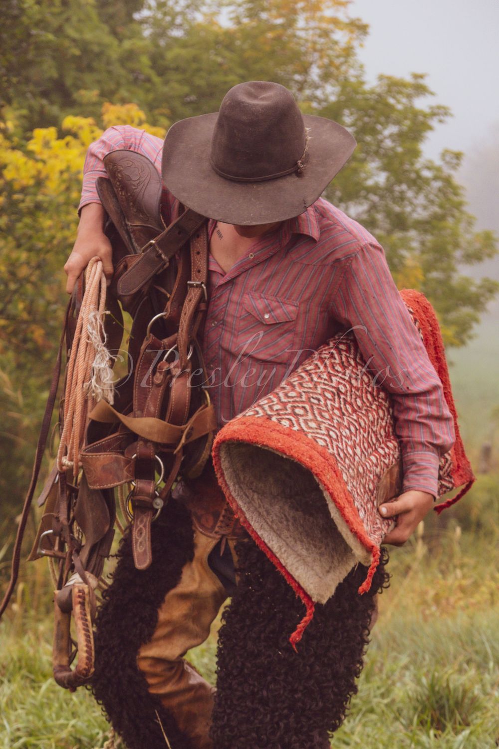 Person in western wear carrying saddle and blanket through autumn field.