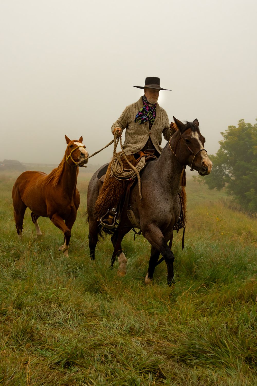 Horses grazing in a misty field with western riding gear.