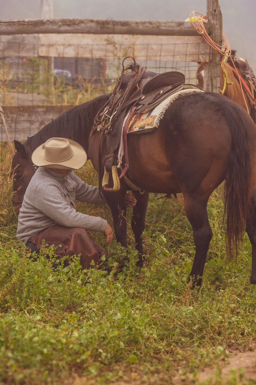 Cowboy tending to a horse in a grassy field near a rustic fence.