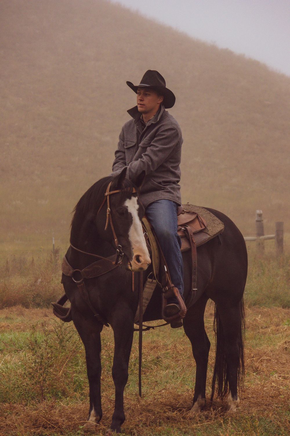 Black horse with western tack standing in foggy field.