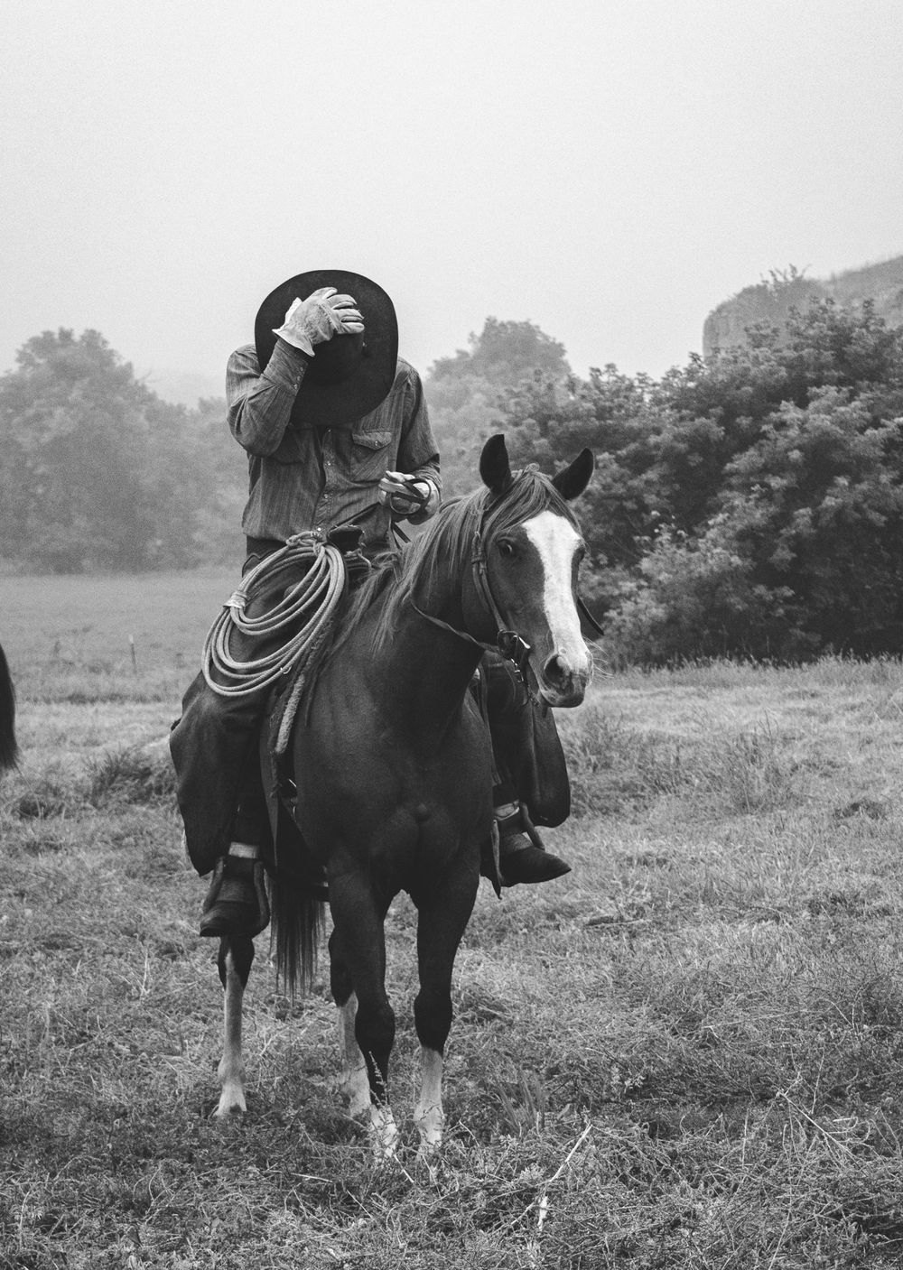 Horses with western saddles standing in a foggy meadow.