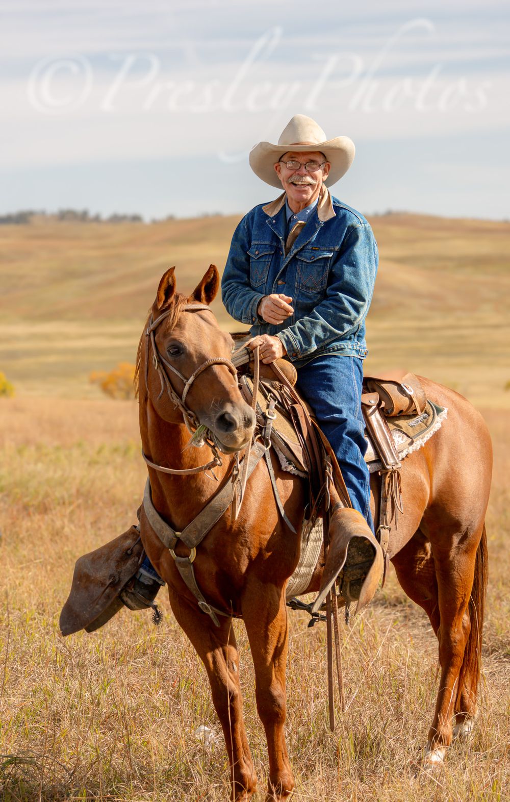 Western rider on a chestnut horse standing in autumn prairie grassland.