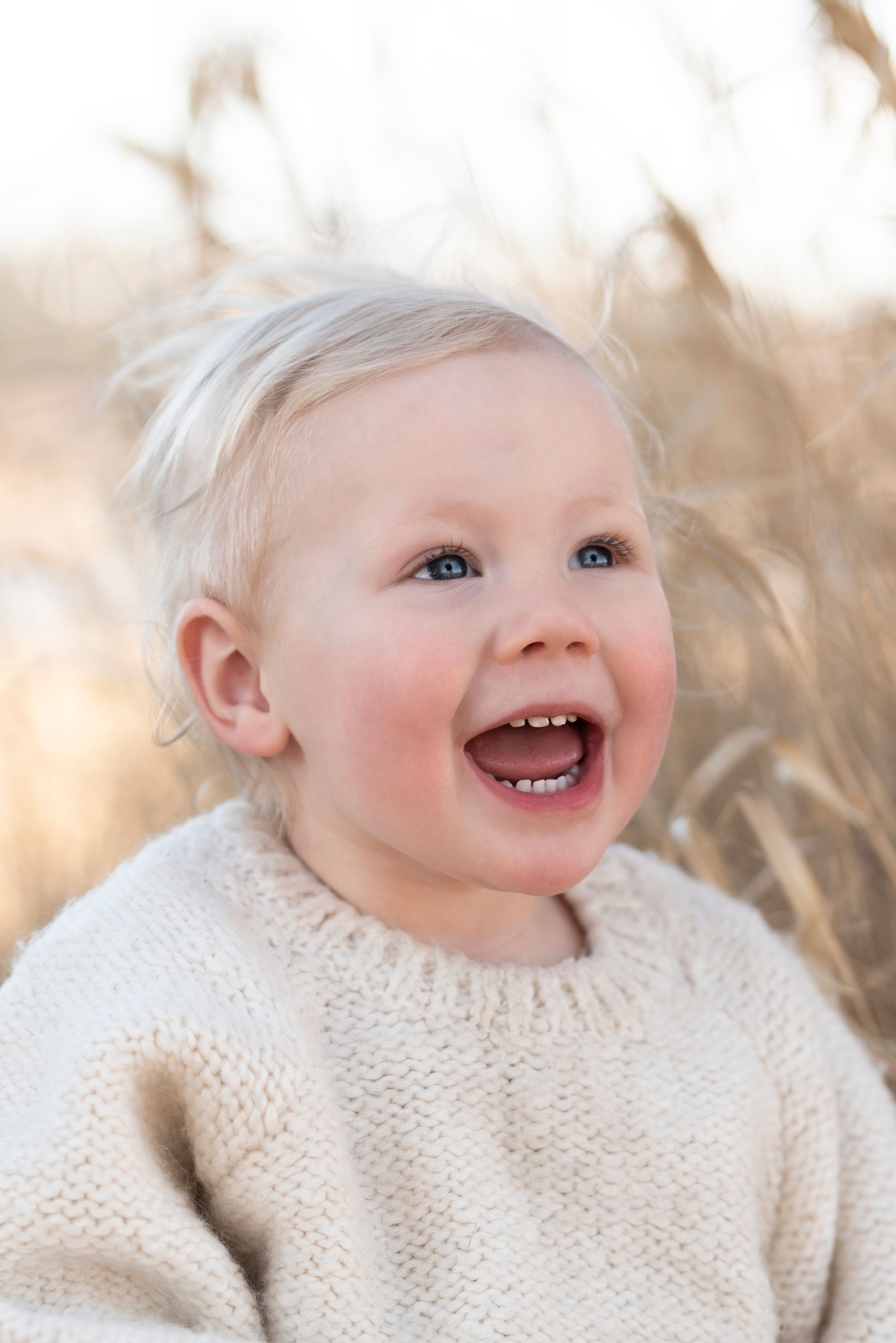 Joyful toddler in cream sweater laughing outdoors with wheat stalks in background.