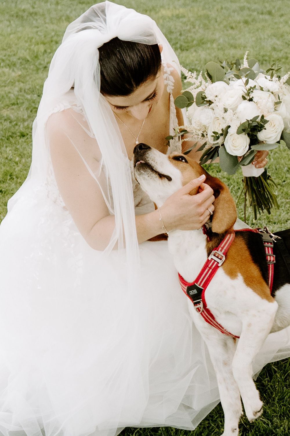 Bride in white gown and veil kisses her beagle in red harness while holding a white floral bouquet outdoors.