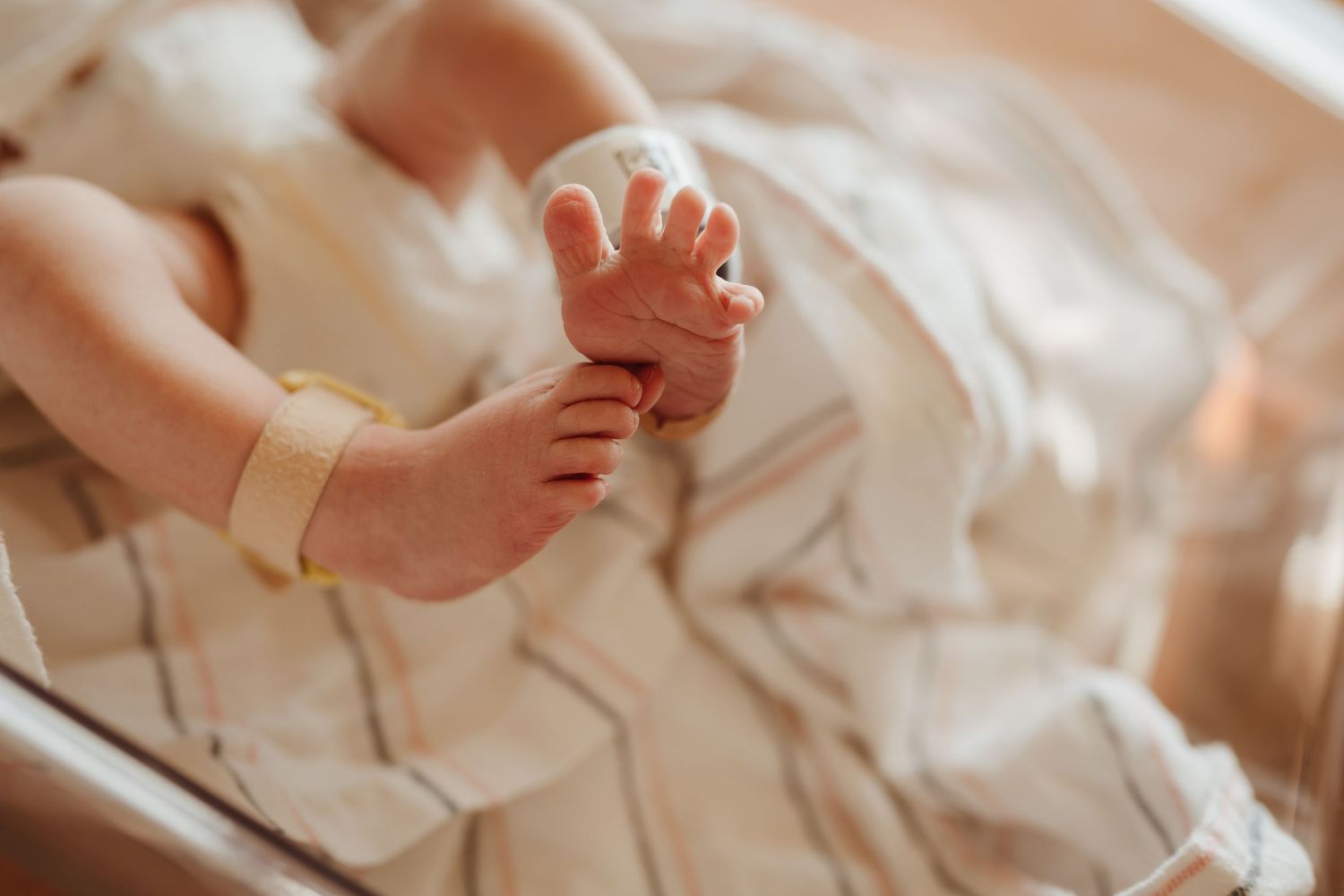 Close-up of tiny baby feet with hospital band.