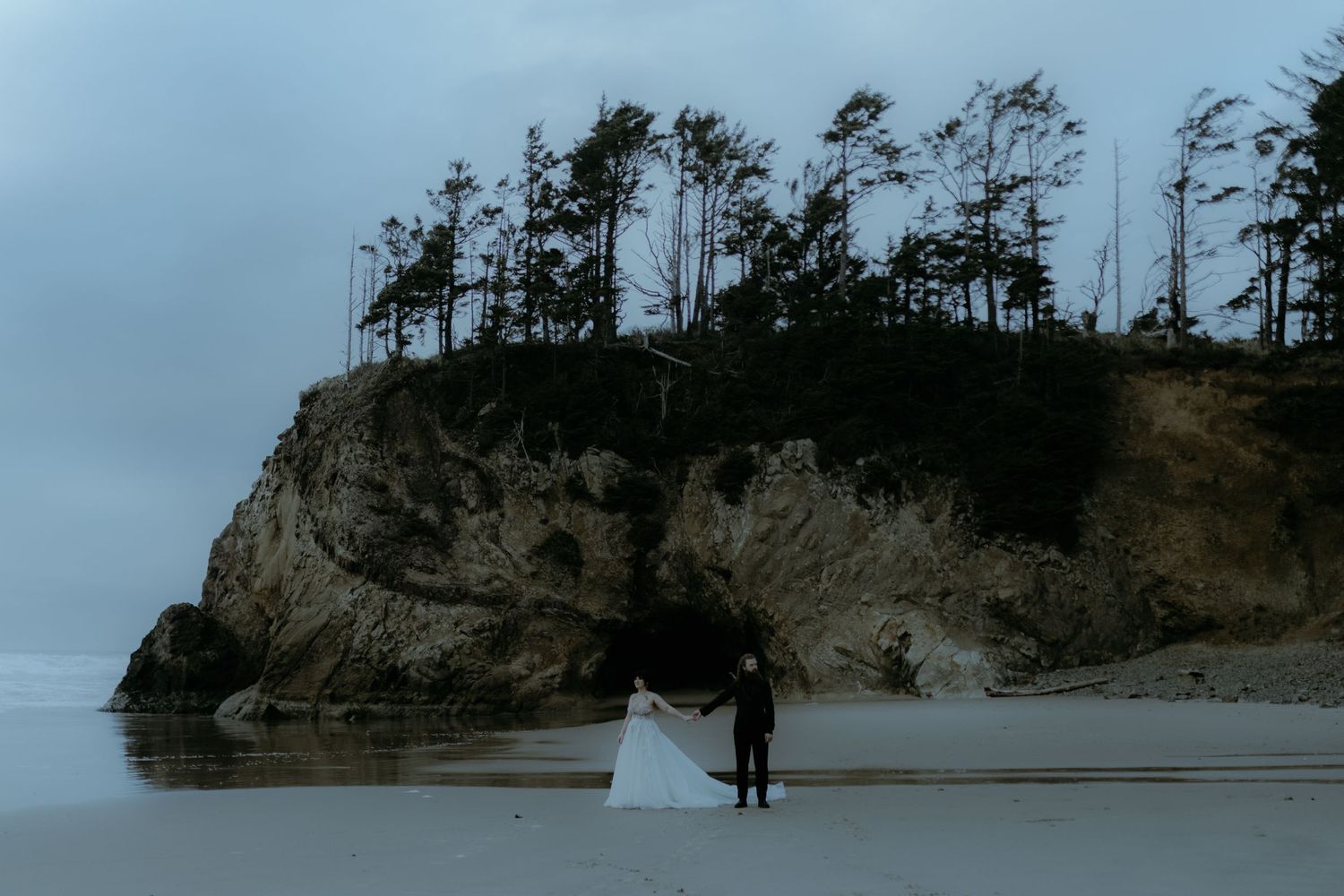 Panoramic view of a rugged coastline with tall pine trees against a cloudy sky.