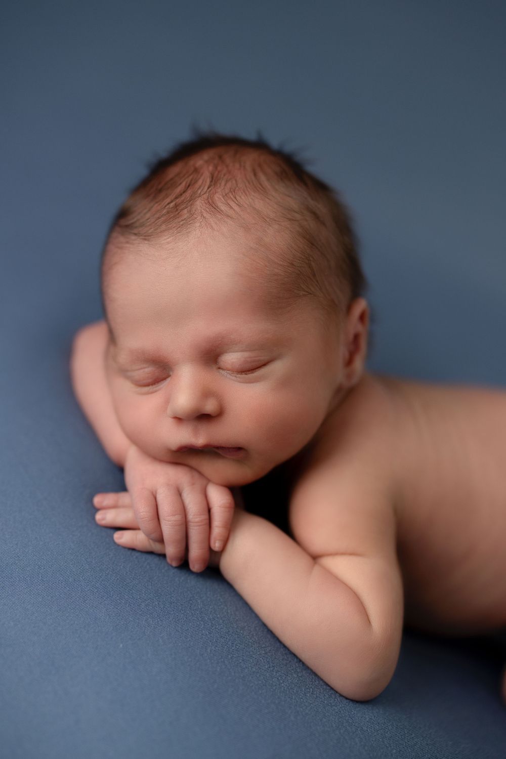 Newborn Photographer, Siblings Family Portrait Family Photographer in Batavia IL, 60510.