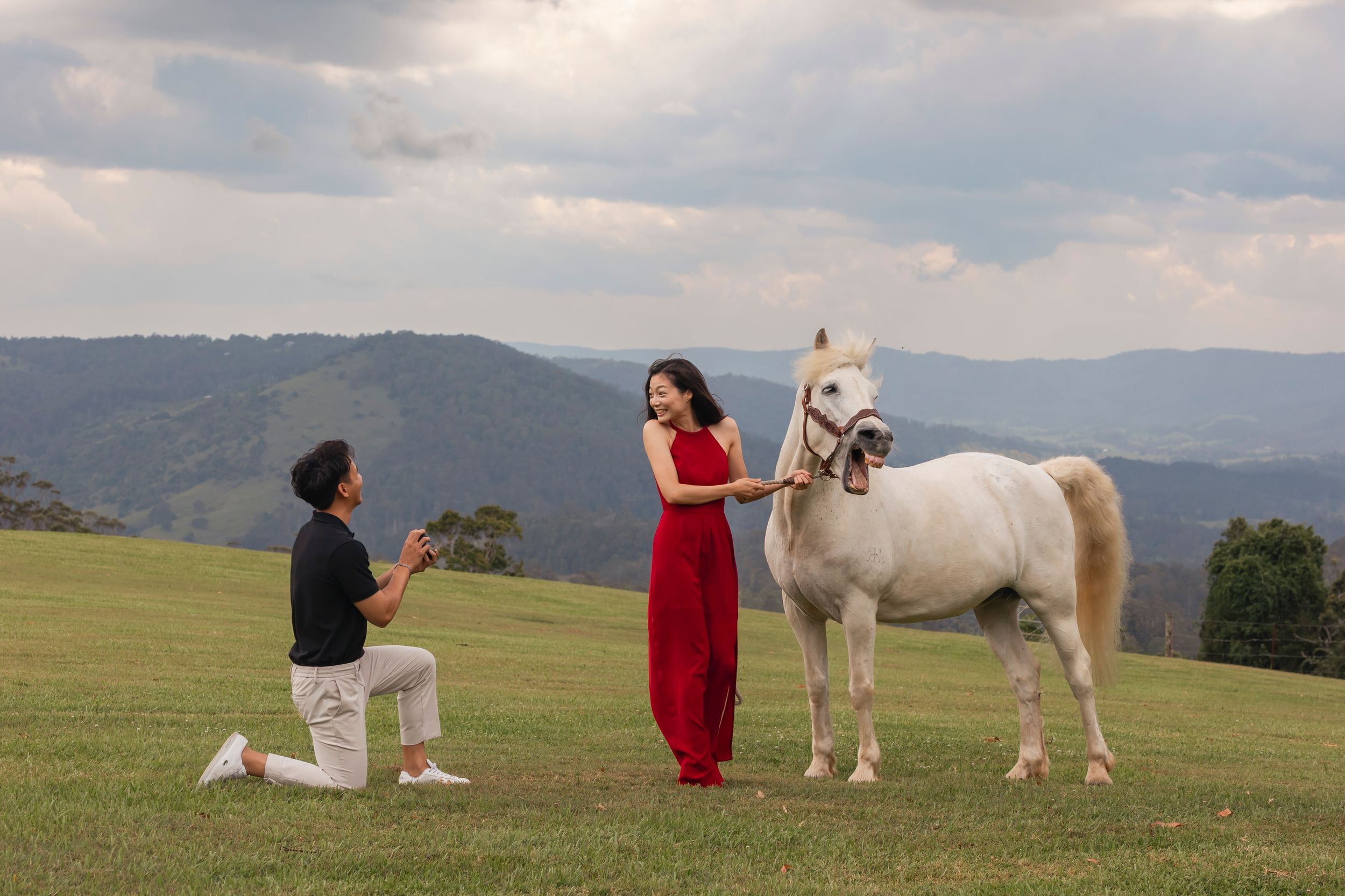 People and horses relax together on rolling green hills with mountains in the background.