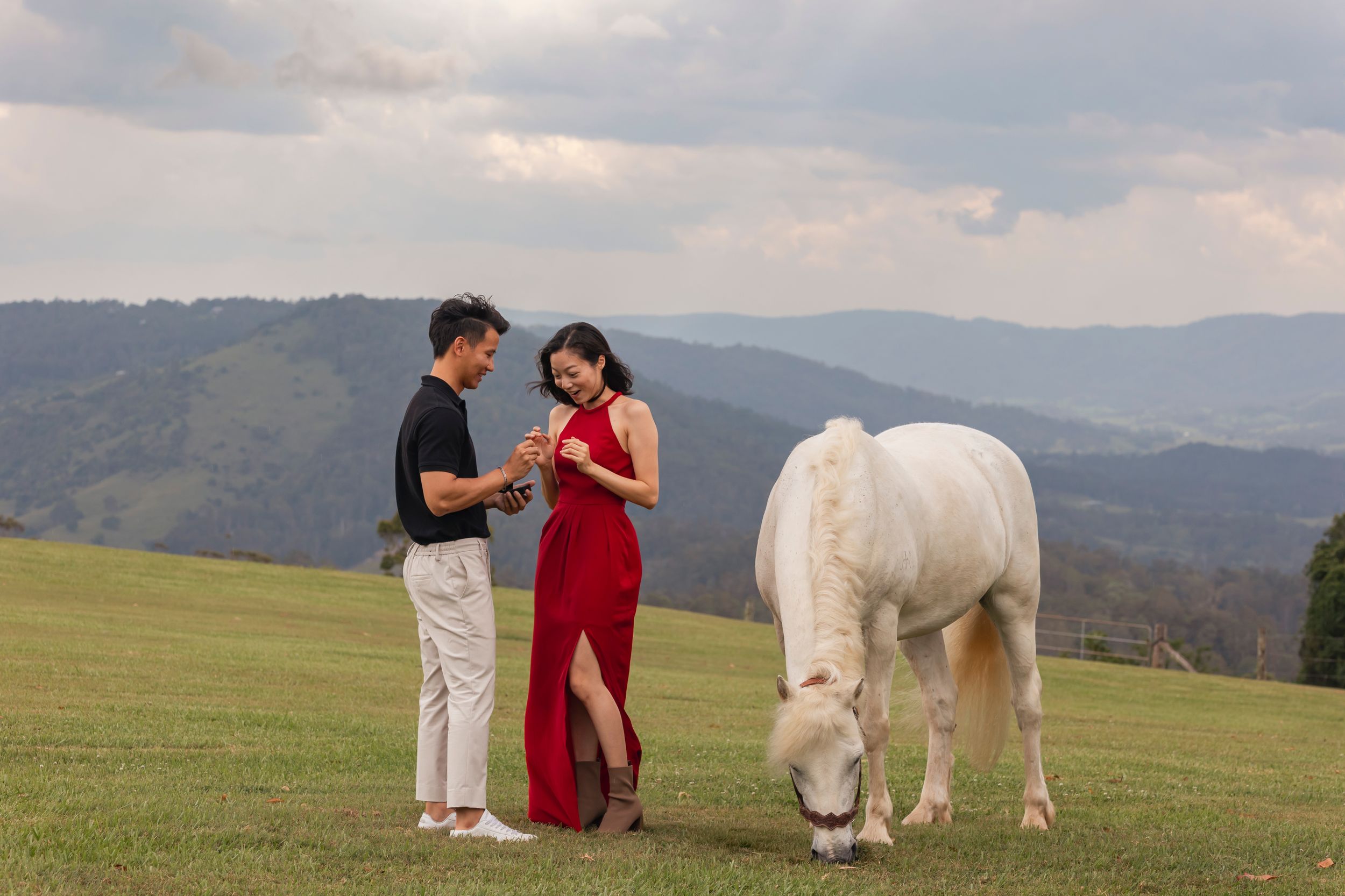 Couple poses with majestic white horse in grassy mountain meadow.