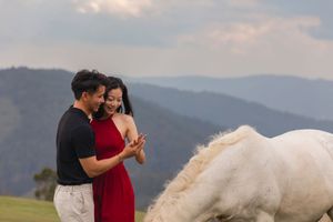 Romantic proposal scene with white horse on hilltop during sunset.