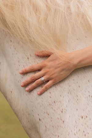 A hand wearing an engagement ring rests against a white horse's coat.